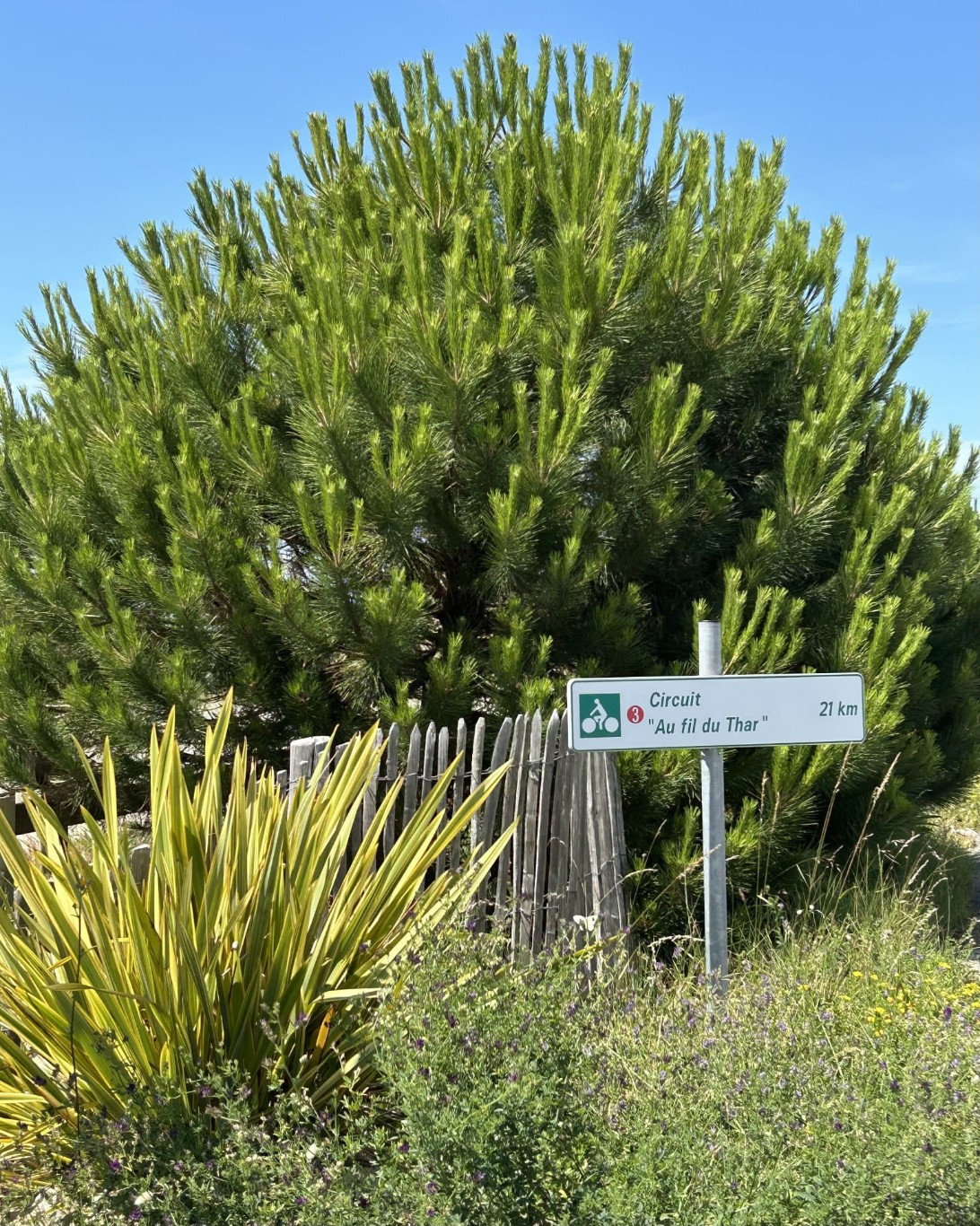 Beach house 379 - Saint-Pair-sur-Mer