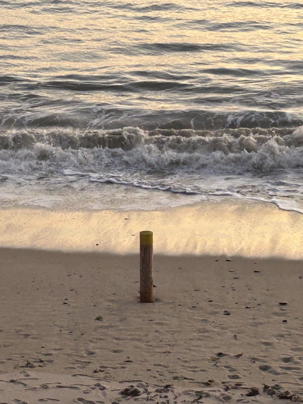 Beach house 379 - Saint-Pair-sur-Mer