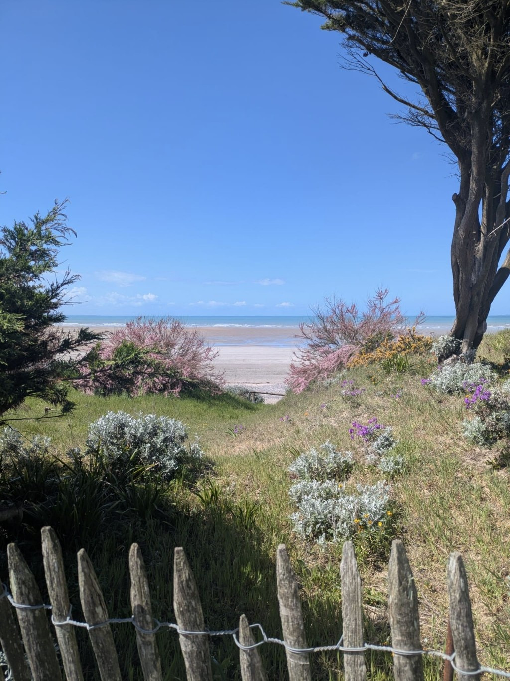 Beach house 379 - Saint-Pair-sur-Mer